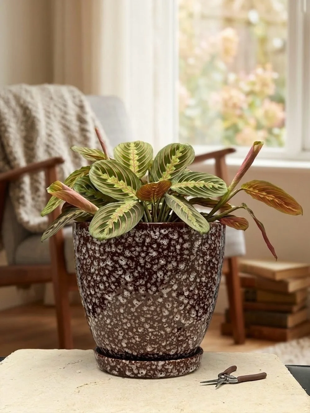 8 Inch Ceramic Planter with Attached Saucer & Drainage Hole | Speckled Brown Pot